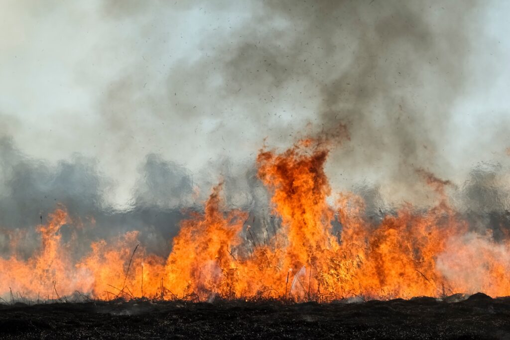 The fire department’s Prevention Bureau is tasked with enforcing the City ordinance governing property owners’ responsibility to control weeds or other growth on their property to reduce fire hazards.