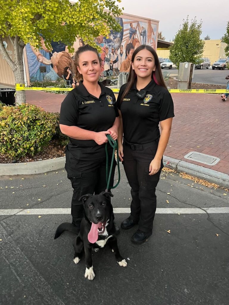 Stephanie Sandoval, Animal Services Supervisor, and  Mackenzie Teunissen take Bumble for a walk.